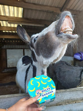 Load image into Gallery viewer, Limited Edition Horslyx Banana