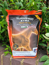 Load image into Gallery viewer, Equine America Turmeric Xtra