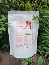 Load image into Gallery viewer, Radiance Gold Mare Formula