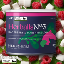 Load image into Gallery viewer, Herballs N°. 3 Raspberry & Marshmallow