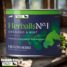 Load image into Gallery viewer, Herballs N°. 1 Oregano & Mint