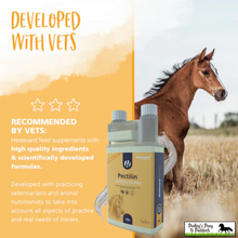 Load image into Gallery viewer, Hestevard Pectilin 1L