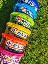Load image into Gallery viewer, Horslyx Mini Lick