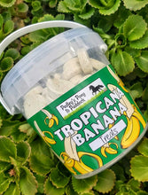 Load image into Gallery viewer, Tropicana Banana Horse Treats