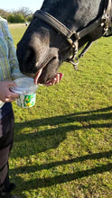 Load image into Gallery viewer, Tropicana Banana Horse Treats