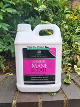 Load image into Gallery viewer, Carr & Day & Martin Canter Mane & Tail Conditioner
