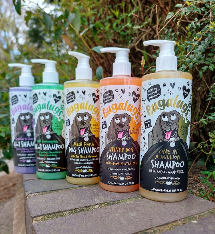 Bugalugs in Dog Shampoo – Pedley's Pony to Paddock