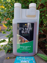 Load image into Gallery viewer, Lincoln It's Not Bute