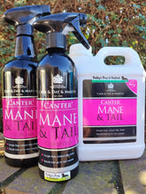 Load image into Gallery viewer, Carr & Day & Martin Canter Mane & Tail Conditioner