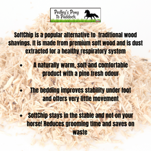 Load image into Gallery viewer, Snowflake Softchip