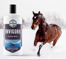 Load image into Gallery viewer, Thomas Pettifer Invigor8