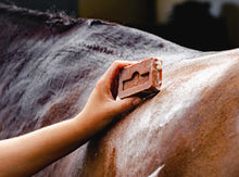 Load image into Gallery viewer, Kevin Bacon's Active Soap