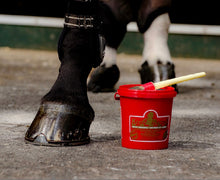 Load image into Gallery viewer, Kevin Bacon's Hoof Dressing (1 litre)