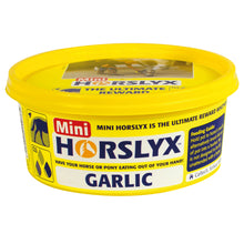 Load image into Gallery viewer, Horslyx Mini Lick