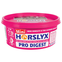 Load image into Gallery viewer, Horslyx Mini Lick
