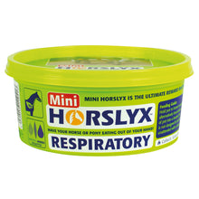 Load image into Gallery viewer, Horslyx Mini Lick