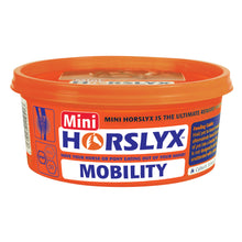 Load image into Gallery viewer, Horslyx Mini Lick