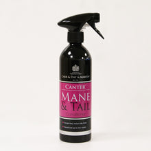 Load image into Gallery viewer, Carr & Day & Martin Canter Mane & Tail Conditioner