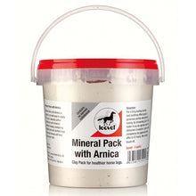 Load image into Gallery viewer, Leovet Mineral Pack with Arnica
