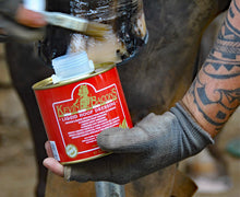 Load image into Gallery viewer, Kevin Bacon's Liquid Hoof Dressing