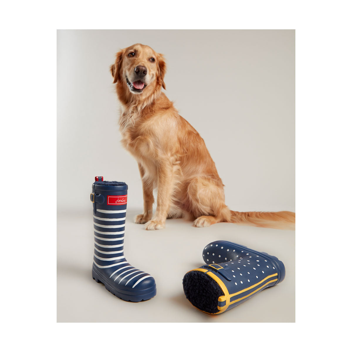 Joules welly best sale