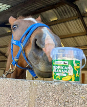 Load image into Gallery viewer, Tropicana Banana Horse Treats