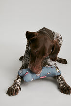 Load image into Gallery viewer, Joules Rainbow Dogs Comfort Bone
