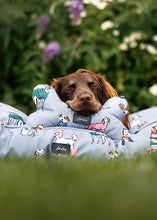 Load image into Gallery viewer, Joules Rainbow Dogs Comfort Bone