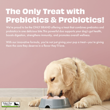Load image into Gallery viewer, Pawfect Yogurt Melties Pre and Probiotic Dog Treats with Strawberry, Apple, Papaya &amp; Burdock Root