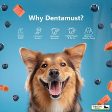 Load image into Gallery viewer, Pawfect Dentamust Himalayan Cheese Chews with Blueberry &amp; Papaya