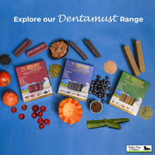 Load image into Gallery viewer, Pawfect Dentamust Himalayan Cheese Chews with Blueberry &amp; Papaya