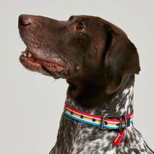 Load image into Gallery viewer, Joules Rainbow Stripe Dog Collar