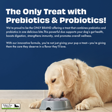 Load image into Gallery viewer, Pawfect Yogurt Melties Pre and Probiotic Dog Treats with Blueberry, Cranberry, Blue Spirulina &amp; Mint
