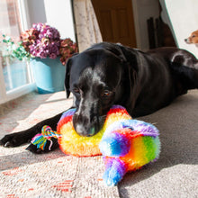 Load image into Gallery viewer, Ancol Pawty Pinata Dog Toy