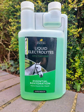 Load image into Gallery viewer, Lincoln Liquid Electrolytes