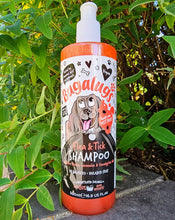 Load image into Gallery viewer, Bugalugs Flea and Tick Dog Shampoo