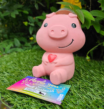 Load image into Gallery viewer, Squeaky Piggie
