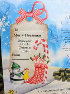 Lincoln Snowman Advent Calendar