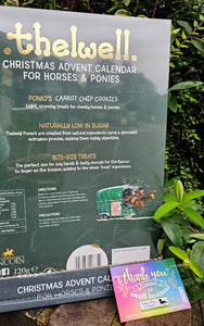 Thelwell Christmas Advent Calendar