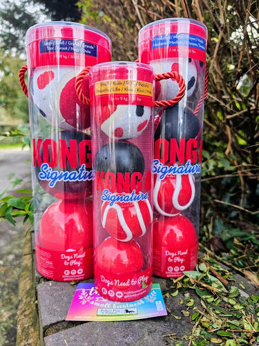 Kong Signature Balls Multipack Assorted