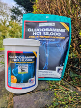 Load image into Gallery viewer, Equine America Glucosamine HCI 12,000