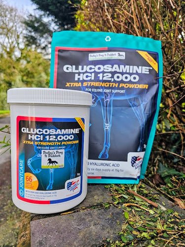 Equine America Glucosamine HCI 12,000