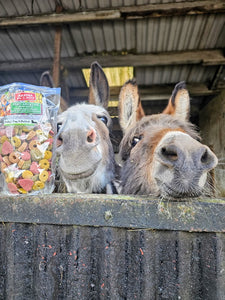 Maxima Mix 'N' Munch Horse Treats