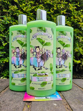 Load image into Gallery viewer, Thelwell Grooming Academy - The Victors Shampoo