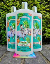 Load image into Gallery viewer, Thelwell Grooming Academy- Merrylegs Time To Shine Shampoo