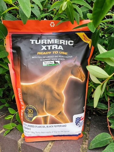 Equine America Turmeric Xtra