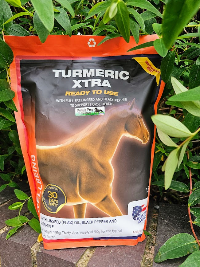 Equine America Turmeric Xtra