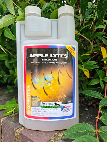 Equine America Apple Lytes Solution