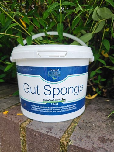 Protexin Gut Sponge
