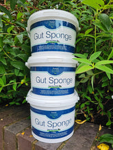 Load image into Gallery viewer, Protexin Gut Sponge